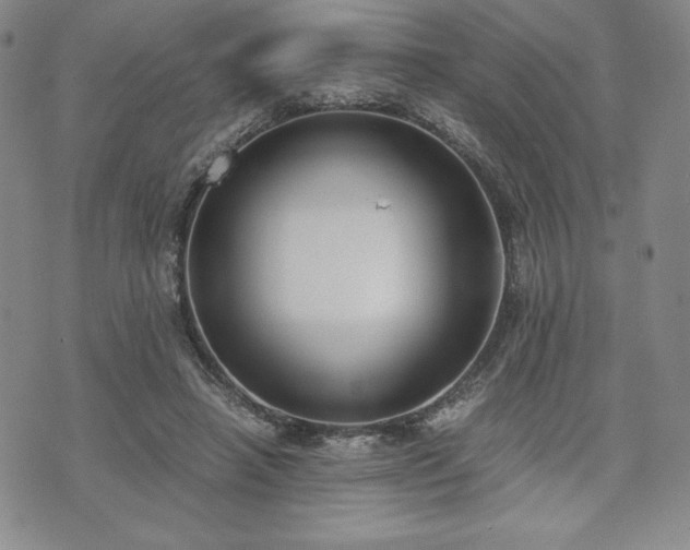 X0000073450450200608041032