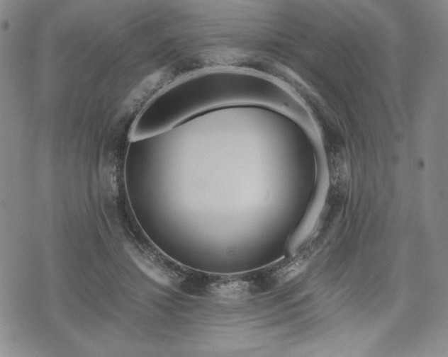 X0000073450452200608041032