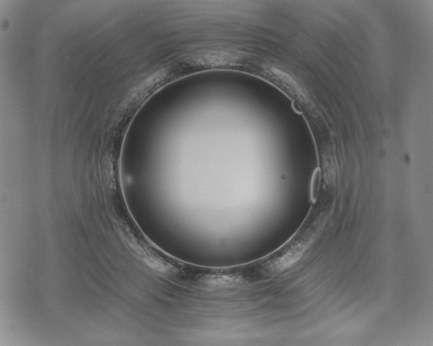 X0000073450453200608041032