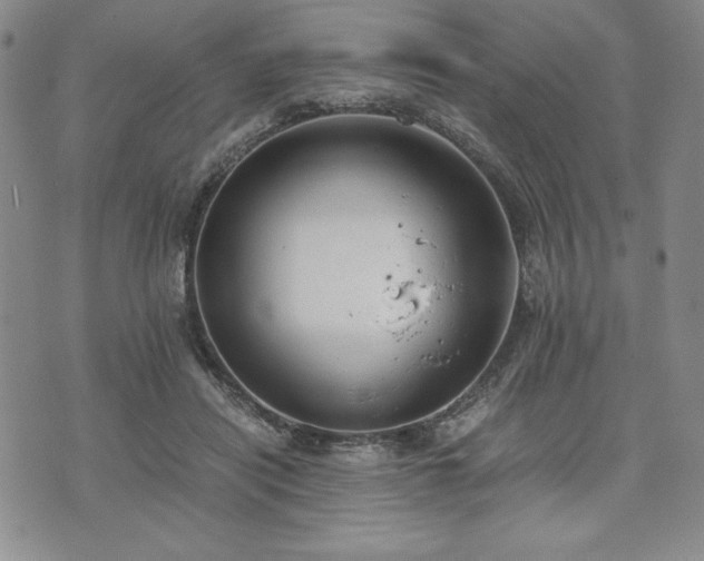 X0000073450454200608041032