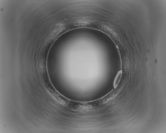 X0000073450455200608041032