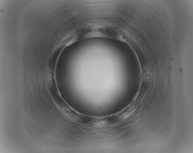 X0000073450456200608041032