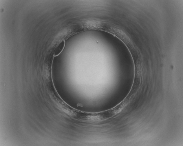 X0000073450457200608041032