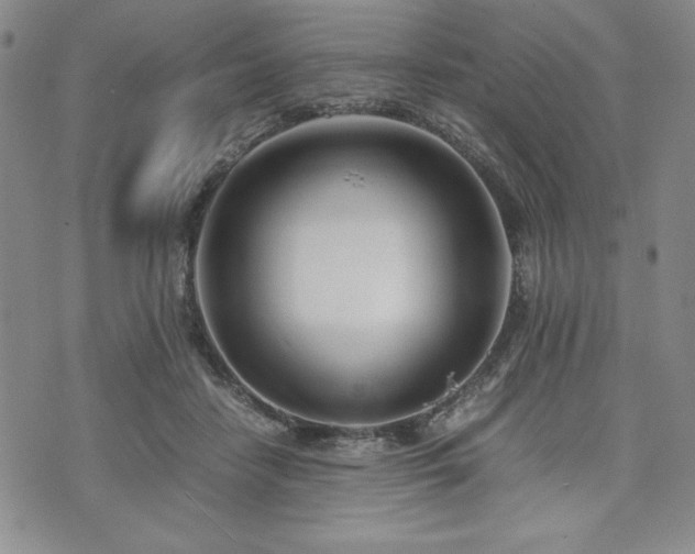 X0000073450458200608041032