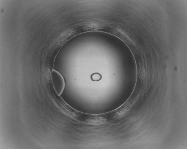 X0000073450459200608041032