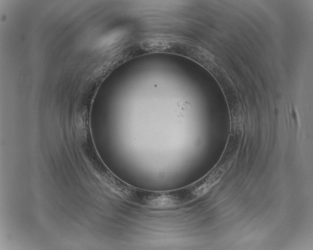 X0000073450460200608041032