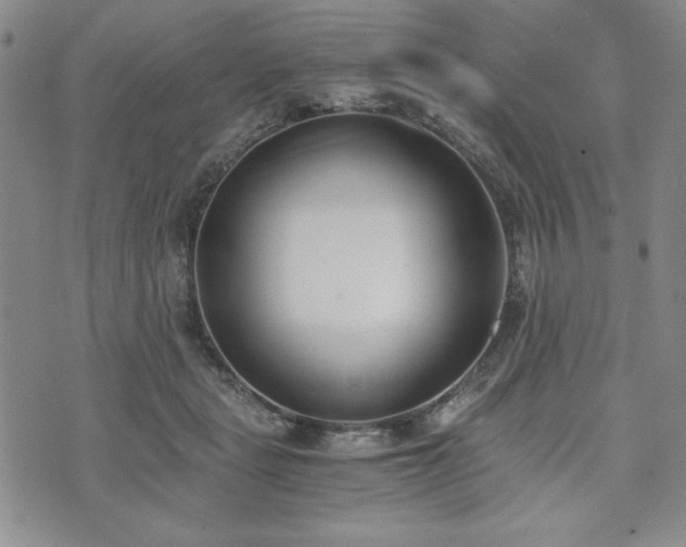 X0000073450461200608041032