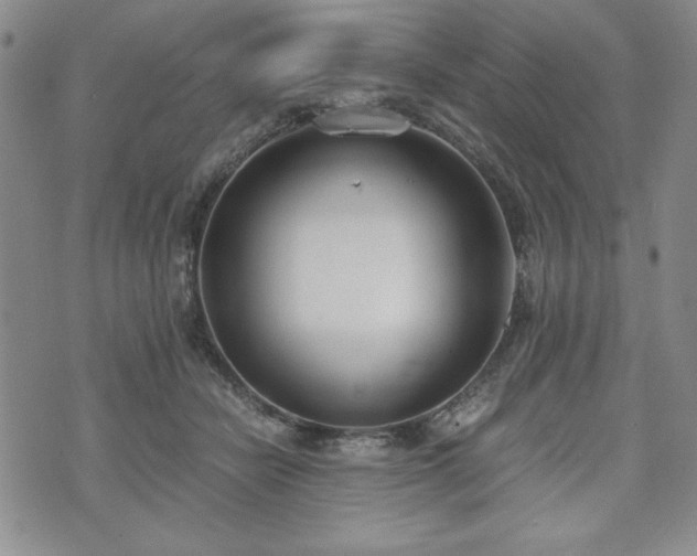 X0000073450462200608041032