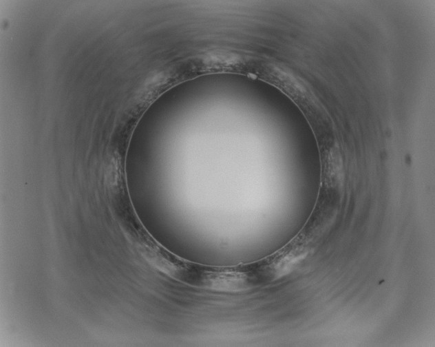 X0000073450463200608041032