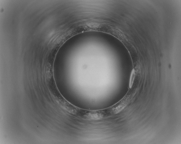 X0000073450464200608041032