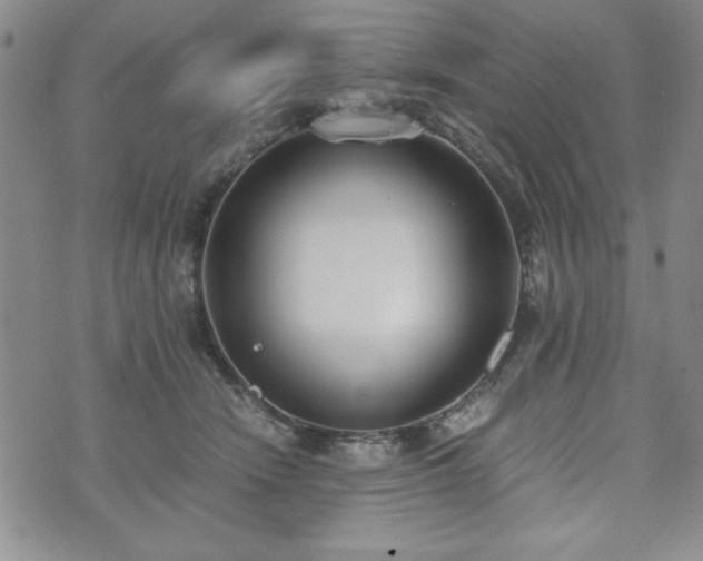 X0000073450466200608041032