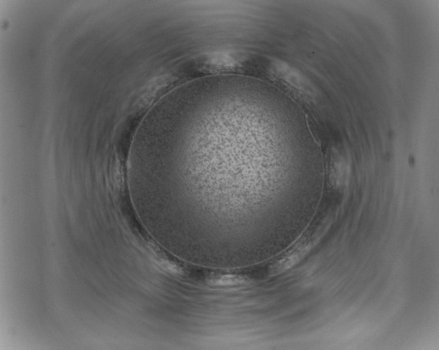 X0000073450467200608041032