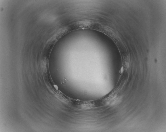 X0000073450468200608041032