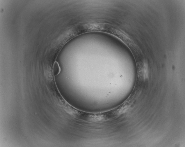 X0000073450469200608041032