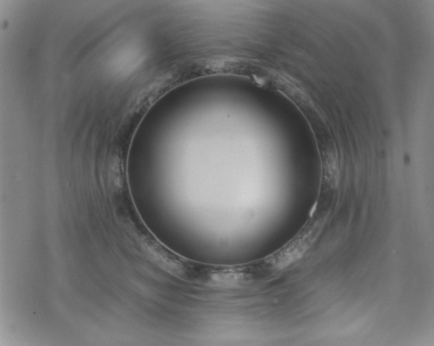 X0000073450470200608041032