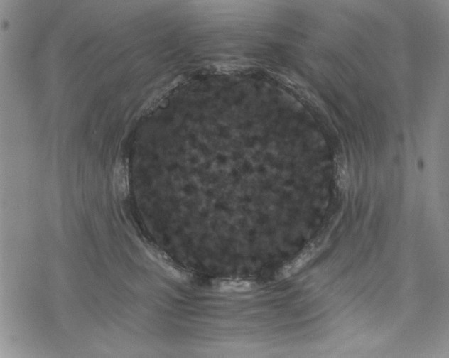 X0000073450471200608041032