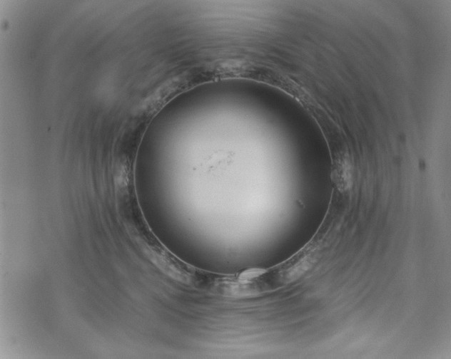 X0000073450472200608041032