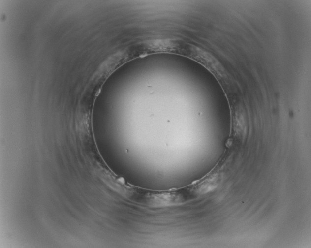 X0000073450473200608041032