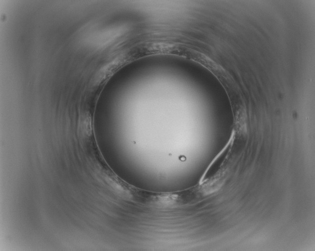 X0000073450474200608041032