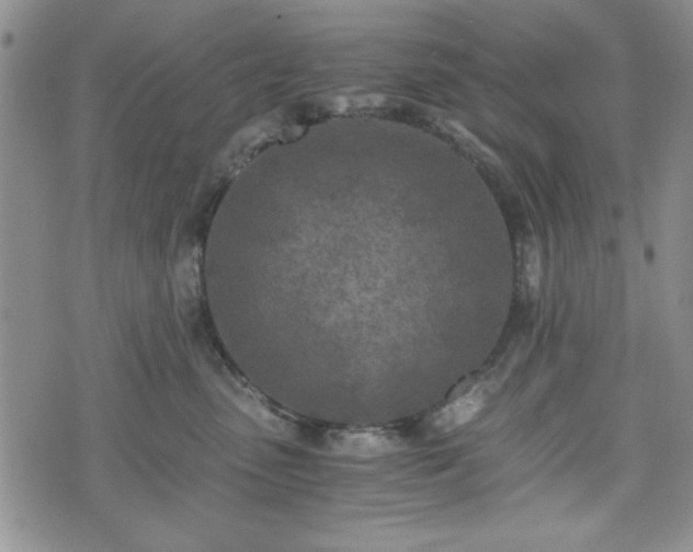 X0000073450475200608041032