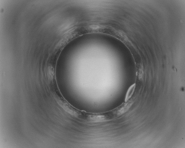 X0000073450476200608041032