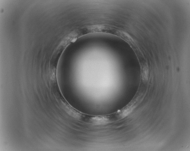 X0000073450477200608041032