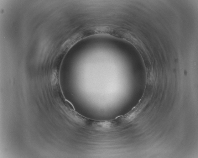 X0000073450478200608041032