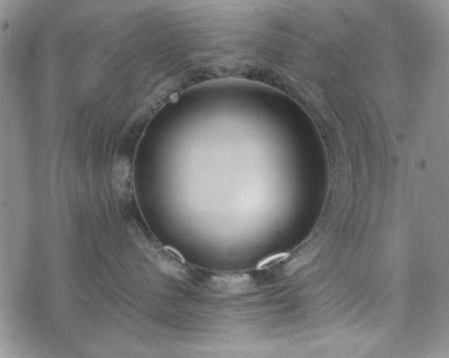 X0000073450480200608041032