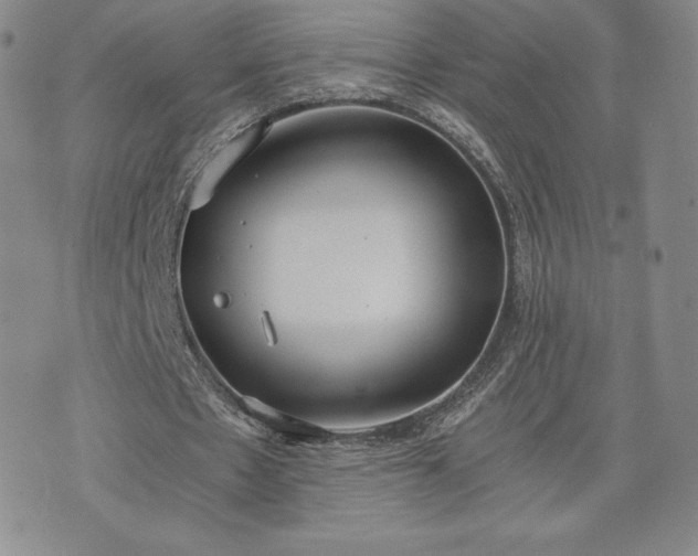 X0000073450481200608041031