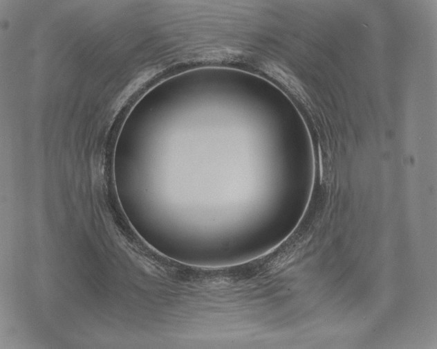 X0000073450483200608041031