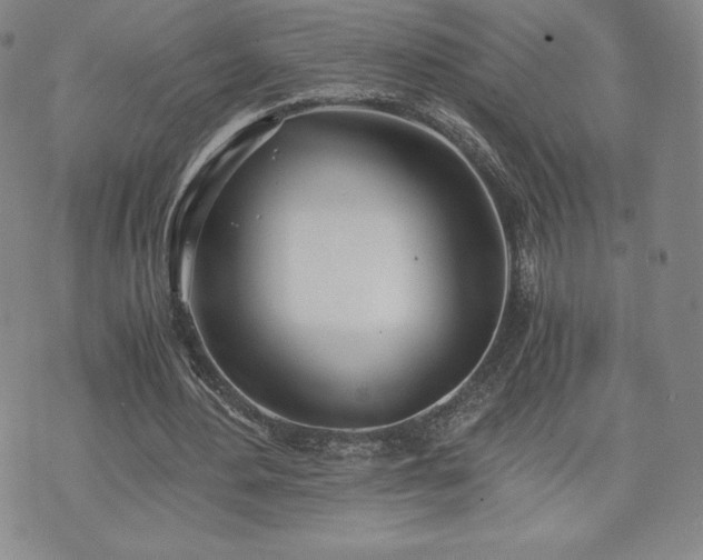 X0000073450484200608041031