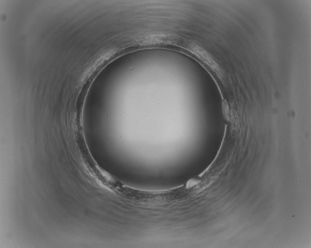 X0000073450485200608041031