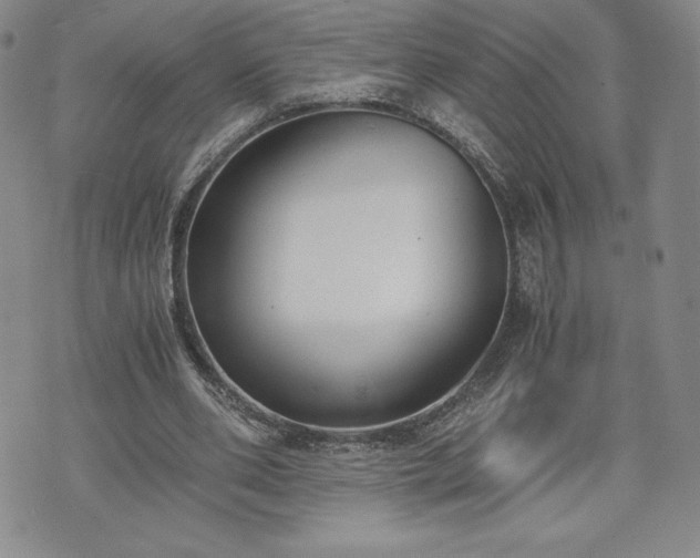 X0000073450486200608041031