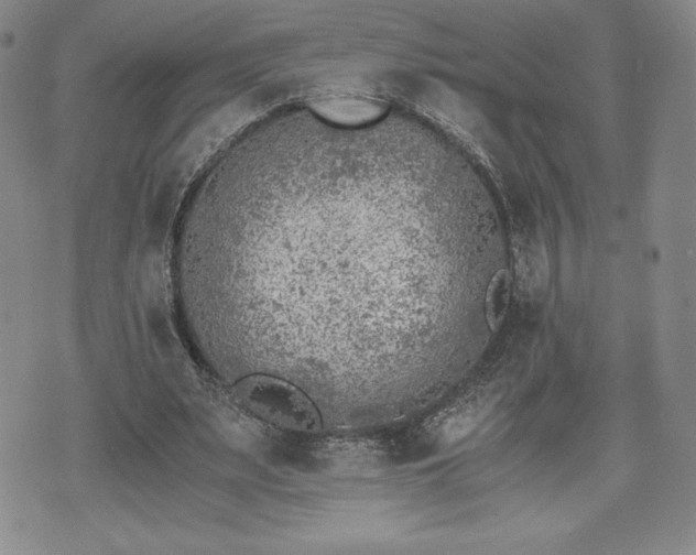 X0000073450487200608041031