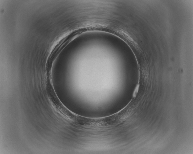 X0000073450488200608041031