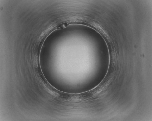 X0000073450489200608041031