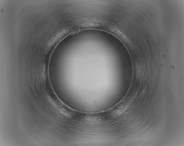 X0000073450490200608041031