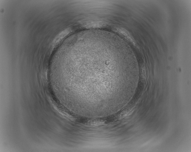 X0000073450491200608041031