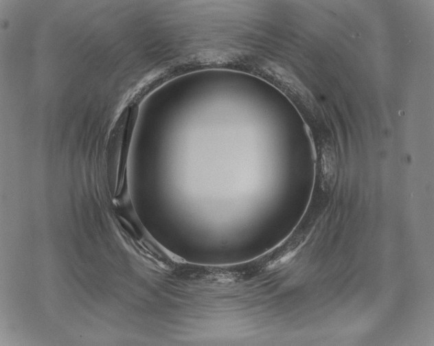 X0000073450492200608041031