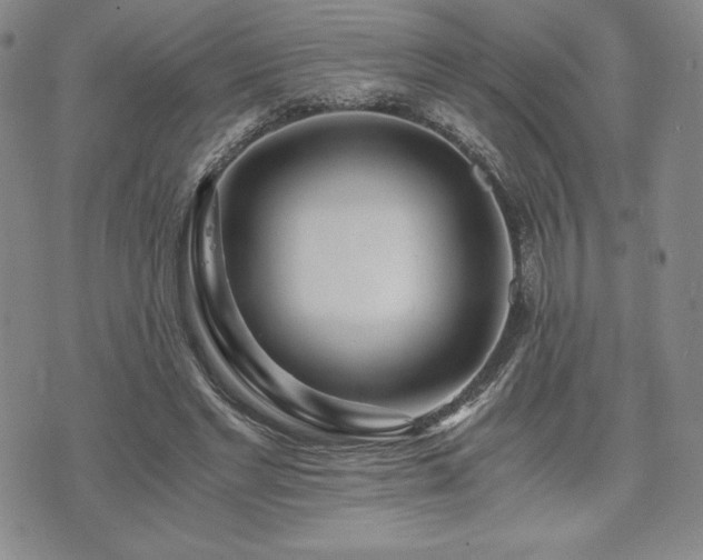 X0000073450493200608041031