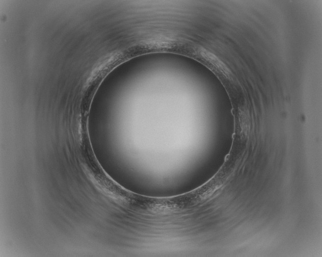 X0000073450494200608041031