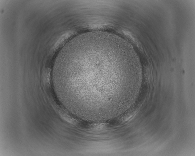 X0000073450495200608041031