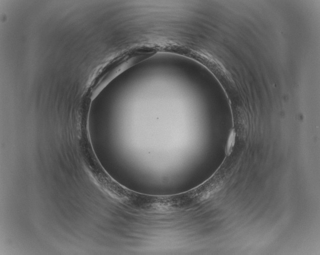 X0000073450496200608041031