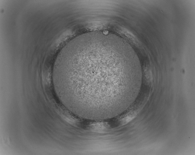 X0000073450499200608041031