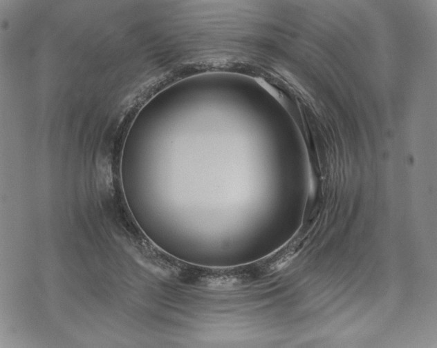 X0000073450500200608041031