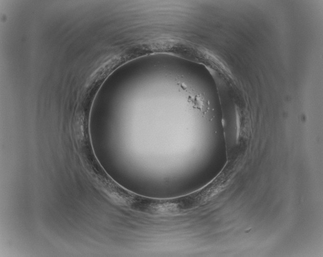 X0000073450501200608041031