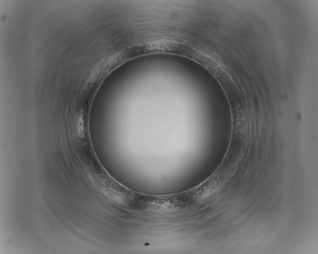 X0000073450502200608041031