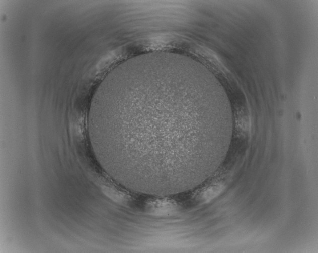 X0000073450503200608041031