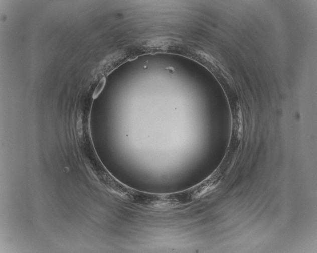 X0000073450504200608041031