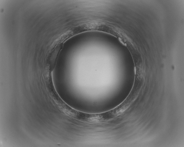 X0000073450505200608041031